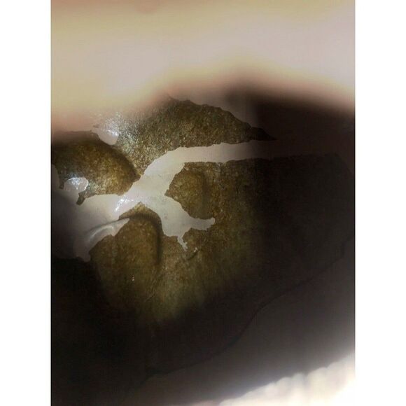 Piggy Bank VTG Molded Wood Fiber Mid Century MOD or Earlier Hand Painted 12.5" - Picture 8 of 8